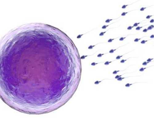 武汉借卵代怀,武汉包生男孩电话，武汉试管婴儿医院