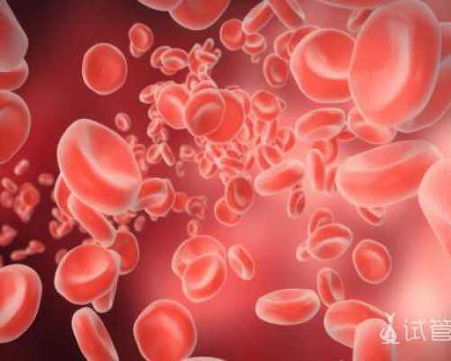 兰州供卵卵泡 甘肃兰州供卵试管费用明细一览表 ‘四维看1看2看男女’