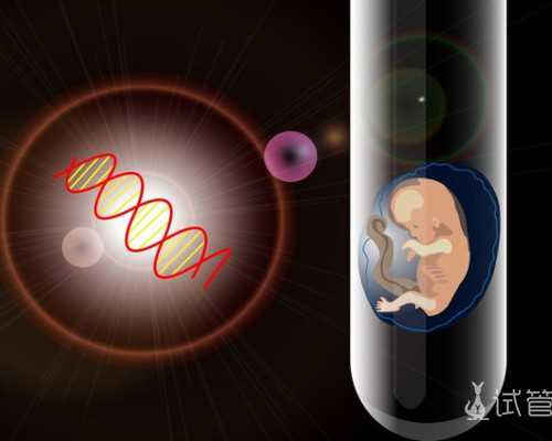 武汉代孕中心费用问题|武汉哪个医院做试管