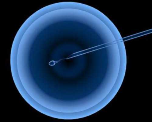 武汉包成功代孕价格,武汉正规供卵试管医院,武汉正规供卵机构