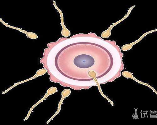 17明朝的灭亡教案(请问晚清的“教案”有哪些)