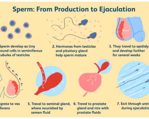 凉虾的做法和食材用料及健康功效