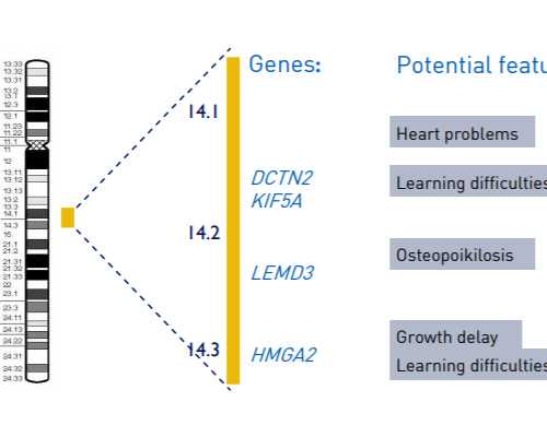 兰州代孕母亲|海南医学院第一附属医院三代试管婴儿一次是放几个胚胎？