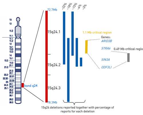 廊坊三代试管武汉