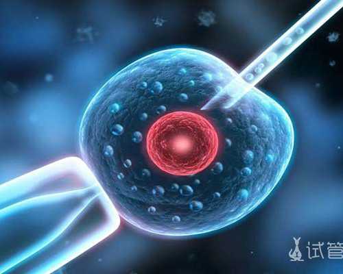 甘肃哪家正规助孕机构做供卵试管比较好？,甘肃三代试管机构实验室怎么样啊