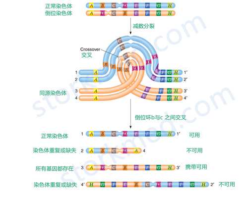 厦门专业代孕机构品牌 厦门安宝医院取卵手术怎么样?关于取卵要知道什么?