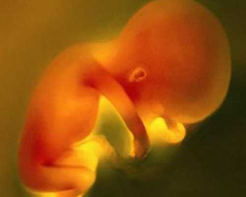 武汉哪些医院能做试管婴儿？?,武汉三代试管医院有哪些，新整理