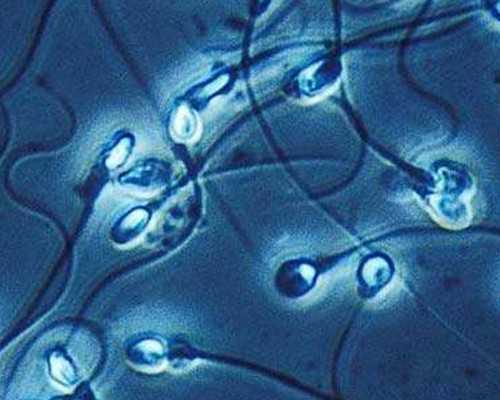 2018几月出生是男孩，13个星座的出生日期分别是多少