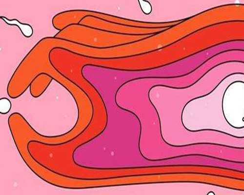 武汉同济医院做试管婴儿买的保险可以报销吗？