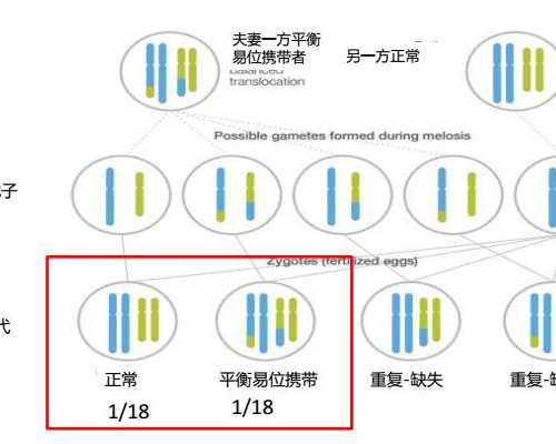 2023北京三代试管借卵代怀生男孩单周费用明细一览：第三方助孕价格明细一览
