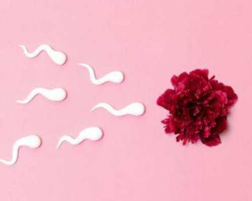 深圳供卵试管费用多少钱,丽水深圳有供卵的医院吗