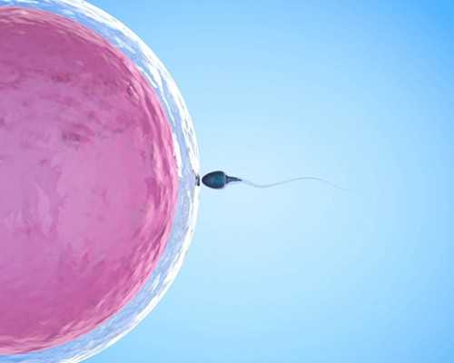 武汉代孕机构包成功,武汉供卵机构代怀生男孩多少钱