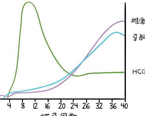 武汉试管婴儿多少钱[费用清单],武汉做试管婴儿大概要多少钱？