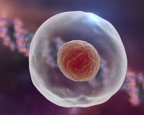 武汉代怀做的费用,武汉试管婴儿只问v3武汉黄浦