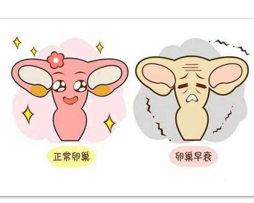 成都优质供卵试管报价 成都试管婴儿纳入医保后多少钱? ‘倒三角肚型是男孩女