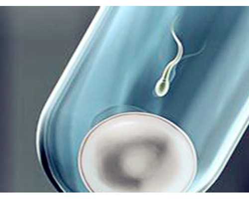 甘肃正规试管婴儿哪家好，甘肃试管成功率排名