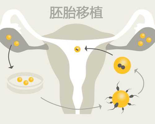甘肃与甘肃的医疗机构数量有何不同??,在甘肃做试管婴儿的费用需要多少?