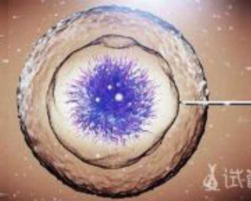 兰州供卵好找吗 2023最新兰州私立供卵机构排名公开 ‘胎囊数据看男女准吗’