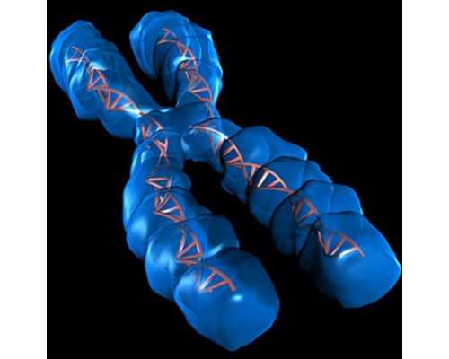 武汉虎泉医院供卵,北京供卵机构联系方式，武汉哪里有好的供卵机构