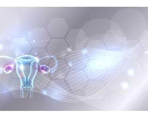 甘肃哪些医院可以冻卵,甘肃正规供卵医院