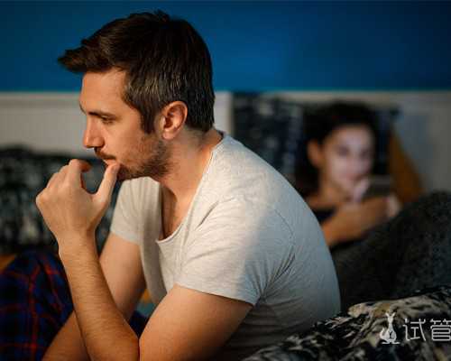 兔子的孕前饮食