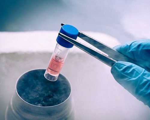 温州代怀捐卵供卵 2023温州试管费用纳入医保了吗？ ‘b超单数据看男女’