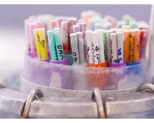 2022武汉协和医院试管婴儿成功率,武汉四维彩超医院及价格汇总