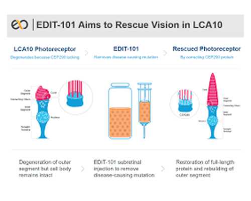 2023
年武汉做试管婴儿纳入医保吗？武汉试管能不能报销？