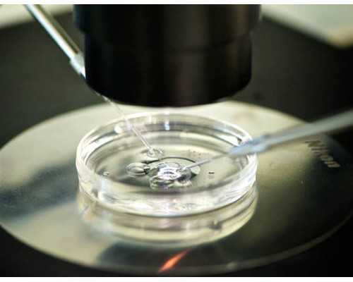 浙江代怀供卵服务 2018年浙江二胎准生证办理流程 ‘宫内胎囊值看男女’