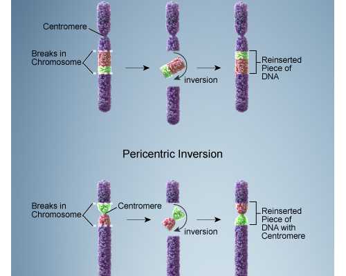 兰州供卵受孕 兰州生物新冠疫苗不良反应 ‘32周双顶径看男女’