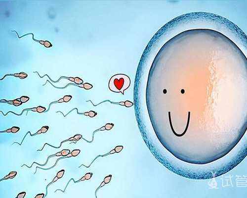 武汉可靠代怀价格|晋城第三代试管武汉哪里能做?晋城第三代试管武汉哪里能