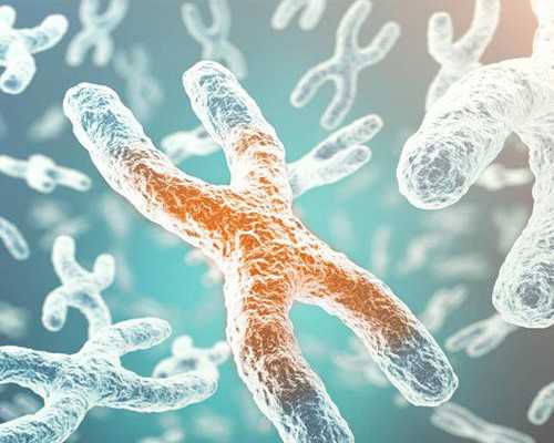 2023甘肃三代试管包生男孩价格,甘肃生孩子医院怎么选