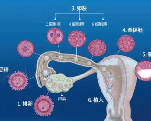 甘肃冻卵流程是怎样的,甘肃可做冻卵的医院