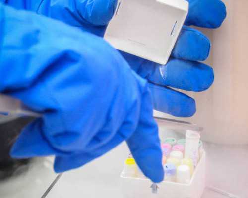 武汉供卵试管费用明细,武汉民间供卵试管机构