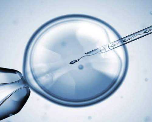 武汉代孕价格包成多少钱|武汉省妇幼试管成功率(长沙省妇幼做试管成功率)