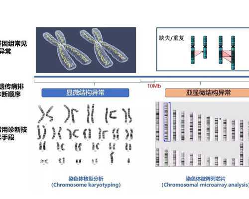 甘肃试管婴儿医院有哪些,甘肃试管婴儿成功率