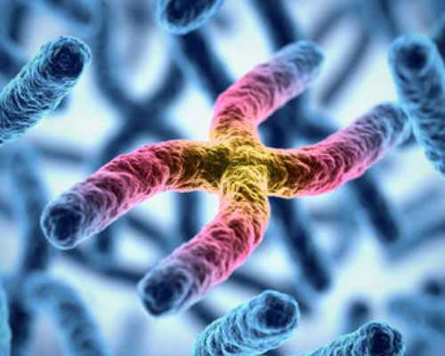 武汉供卵助孕公司,武汉正规供卵试管医院,武汉正规供卵机构