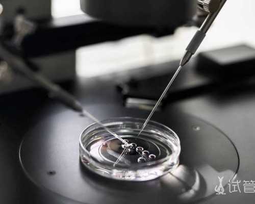 <strong>武汉做试管婴要多少钱,武汉做试管婴儿多少钱</strong>