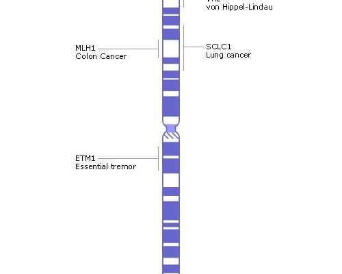武汉代孕多胞胎价格|武汉做第三代试管做得好的医院有哪些？