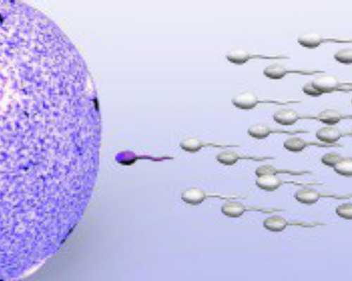 武汉有做第三代试管的吗,武汉哪家试管婴儿包做成功