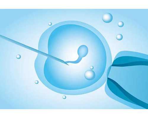 石家庄试管借卵 石家庄正规私立医院试管费用介绍 ‘四个月怎么看彩超单子看