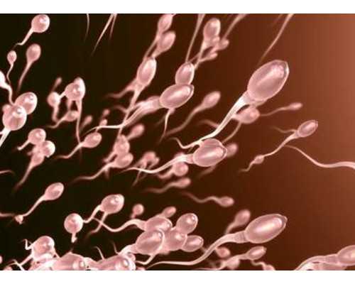 南京可以自愿供卵吗 南京鼓楼医院三代试管婴儿大概多少钱？ ‘三维四维数据