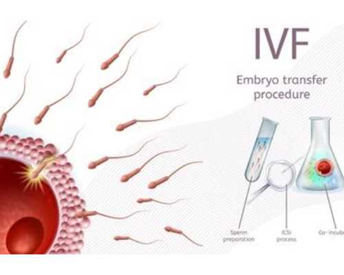 武汉医院代孕费用,武汉供卵试管费用（武汉试管婴儿捐卵供卵）