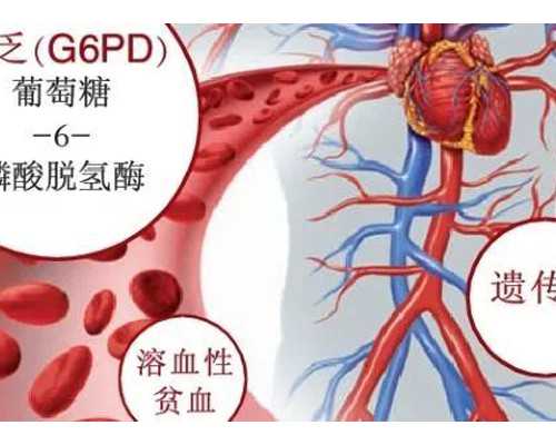 甘肃人流医院哪家好「医保」甘肃看妇科哪里专业