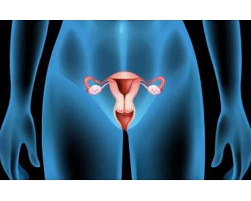 甘肃代孕供卵价格 2022甘肃省妇幼保健院试管婴儿生男孩成功率一览 ‘孕囊大小