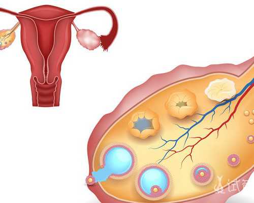 2023
年武汉做试管婴儿纳入医保吗？武汉试管能不能报销？