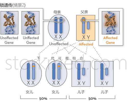 甘肃试管婴儿医院成功率、排名、费用以及补贴