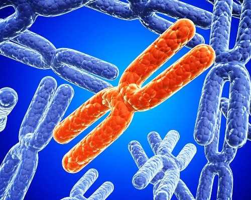 武汉哪家医院人工授精成功率最高？,儿童呼吸道疾病高发武汉多家医院儿科爆