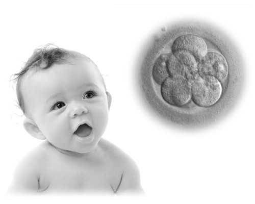 温州代生的价钱 浙江试管医院推荐|温州医学院附属第二医院 ‘32周双顶径看男