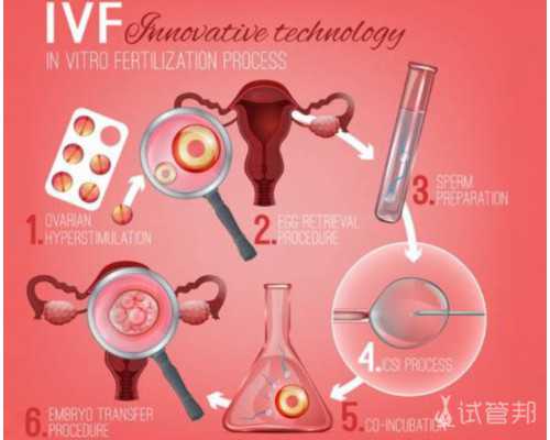 兰州寻找代孕妇妈妈|温州附一医院试管婴儿(取卵局部麻药是打哪里)